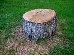 Best Emergency Tree Removal  in Redland, AL